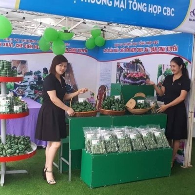 Nem chua Thanh hóa Sinh Tuyến (gói 10 cái)