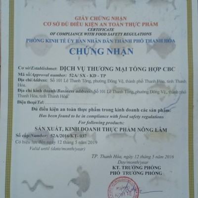 Nem chua Thanh hóa Sinh Tuyến (gói 10 cái)